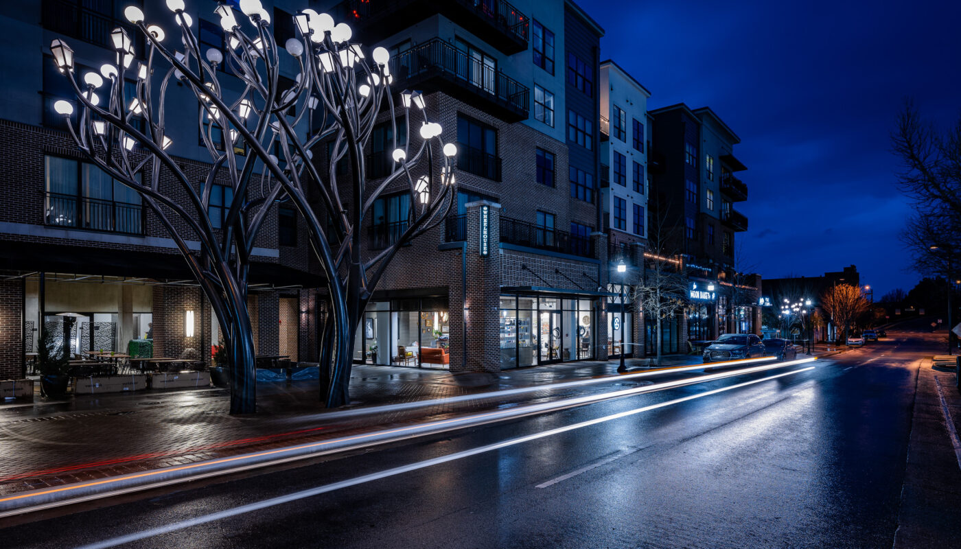 A photo of Light Tree